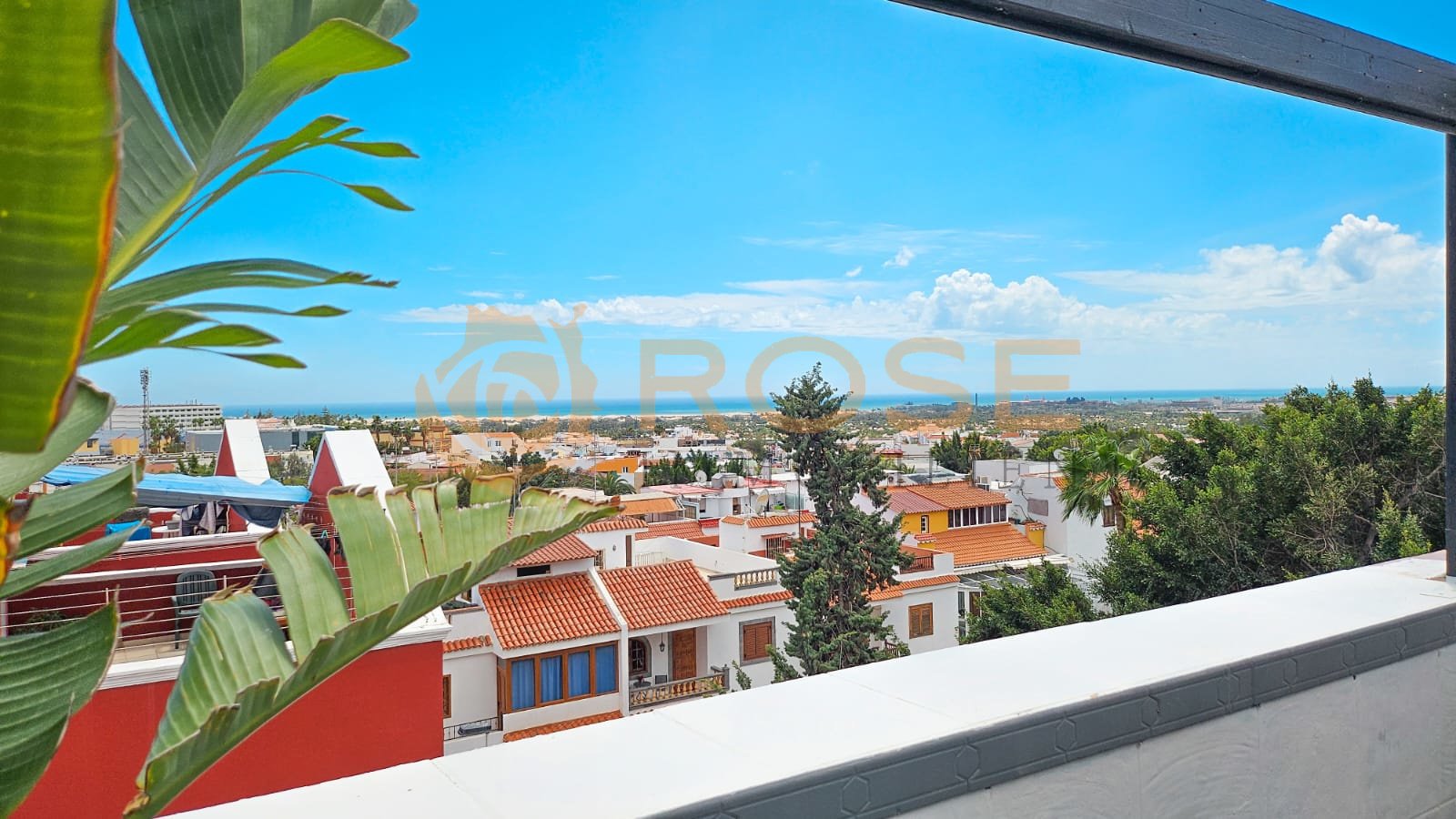 &nbsp;