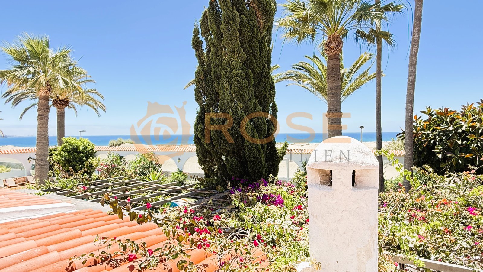 Meerblick-Garten mit mediterraner Architektur und Zypressenbestand – idyllischer Außenbereich mit Panorama-Ausblick Meerblick-Garten mit mediterraner Architektur und Zypressenbestand – idyllischer Außenbereich mit Panorama-Ausblick