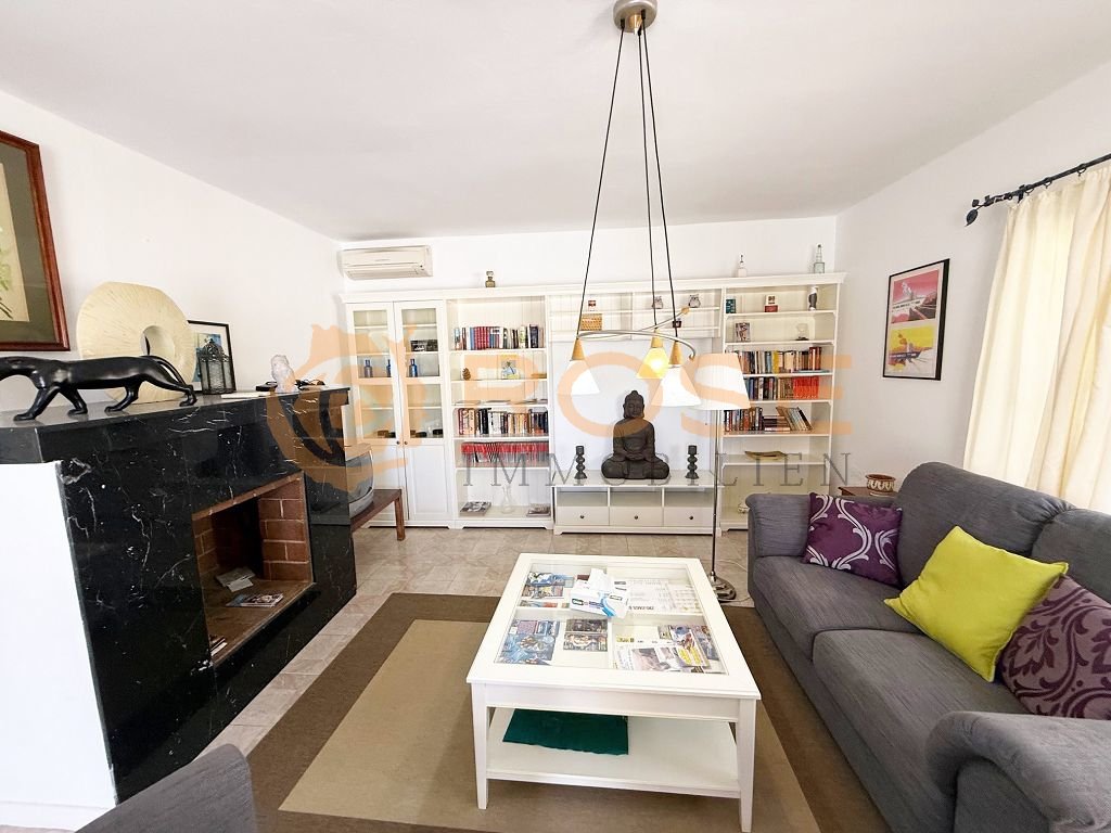 Elegant living room with built-in shelving systems and decorative fireplace