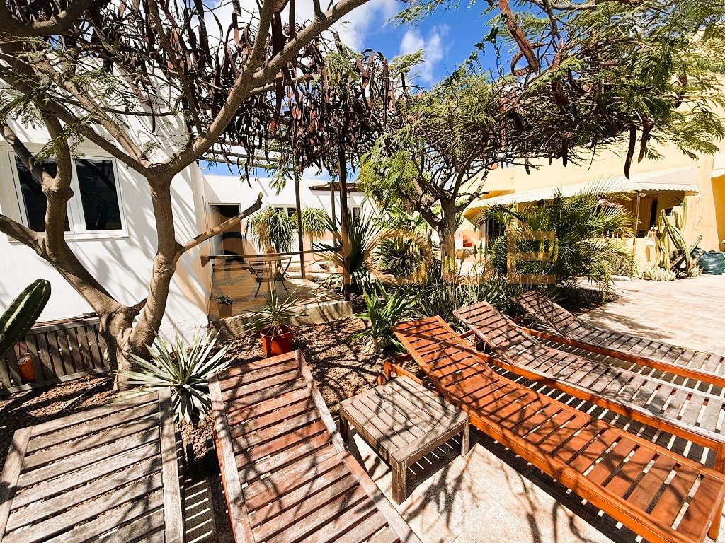 Idyllic courtyard with mature trees and diverse seating areas