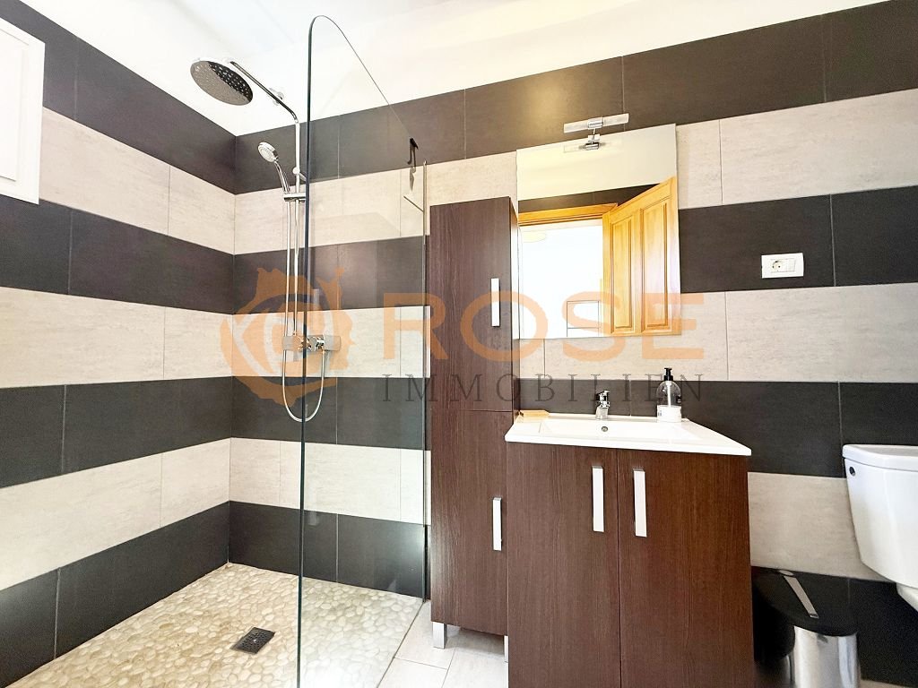 Modern bathroom with walk-in shower and high-quality washbasin area