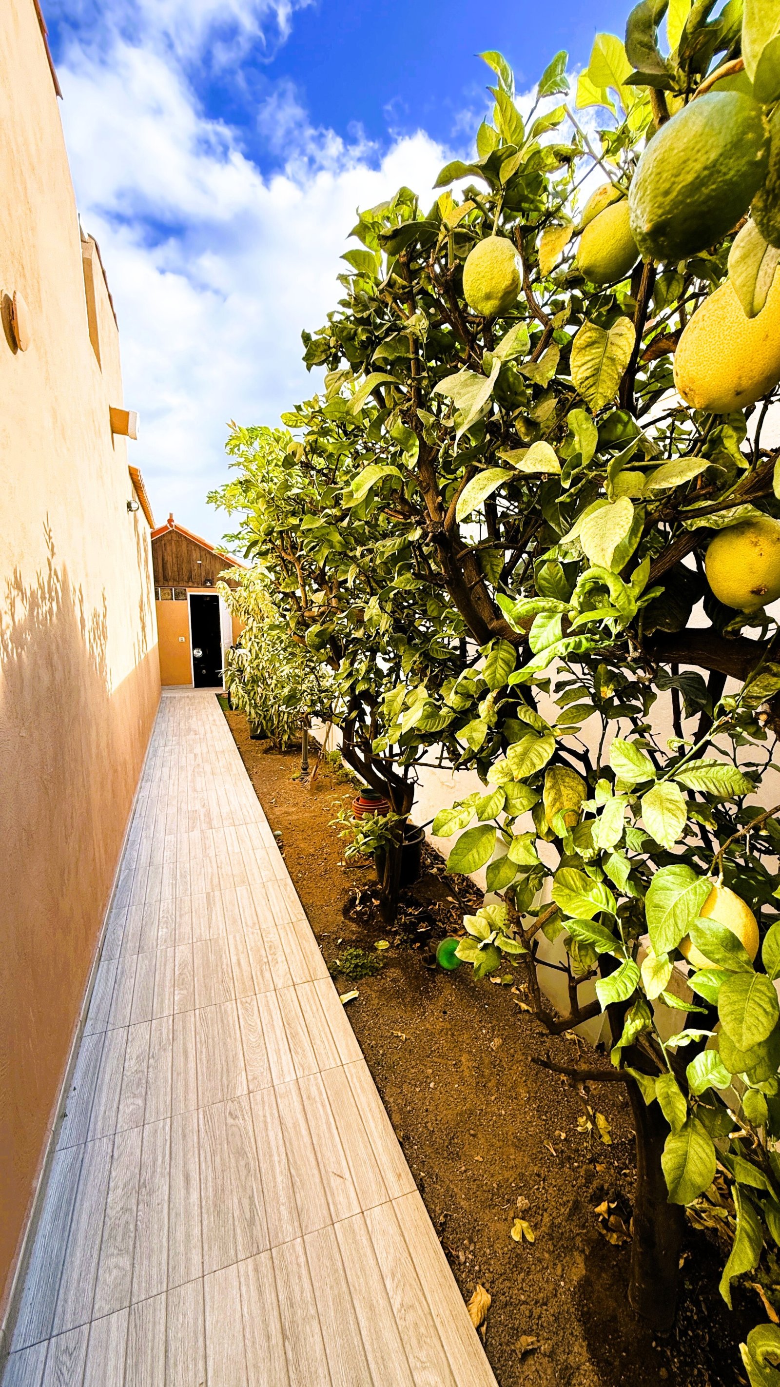 Private section with paved access path and landscaped outdoor area