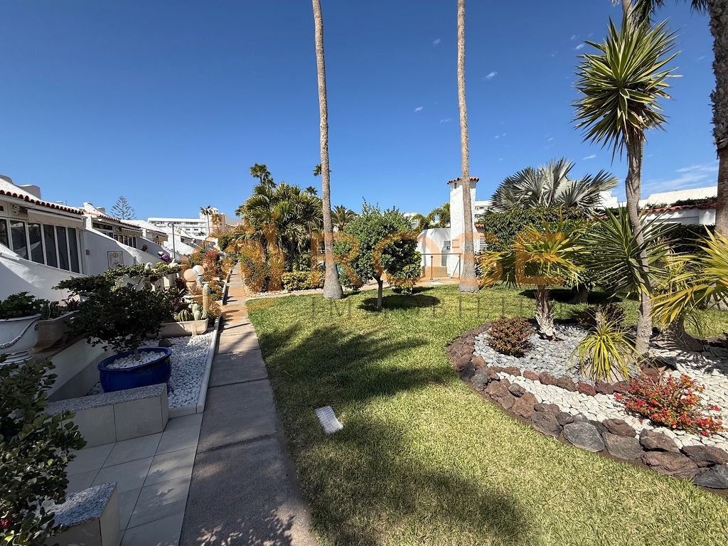 Spacious garden with established palm trees and diverse planting zones