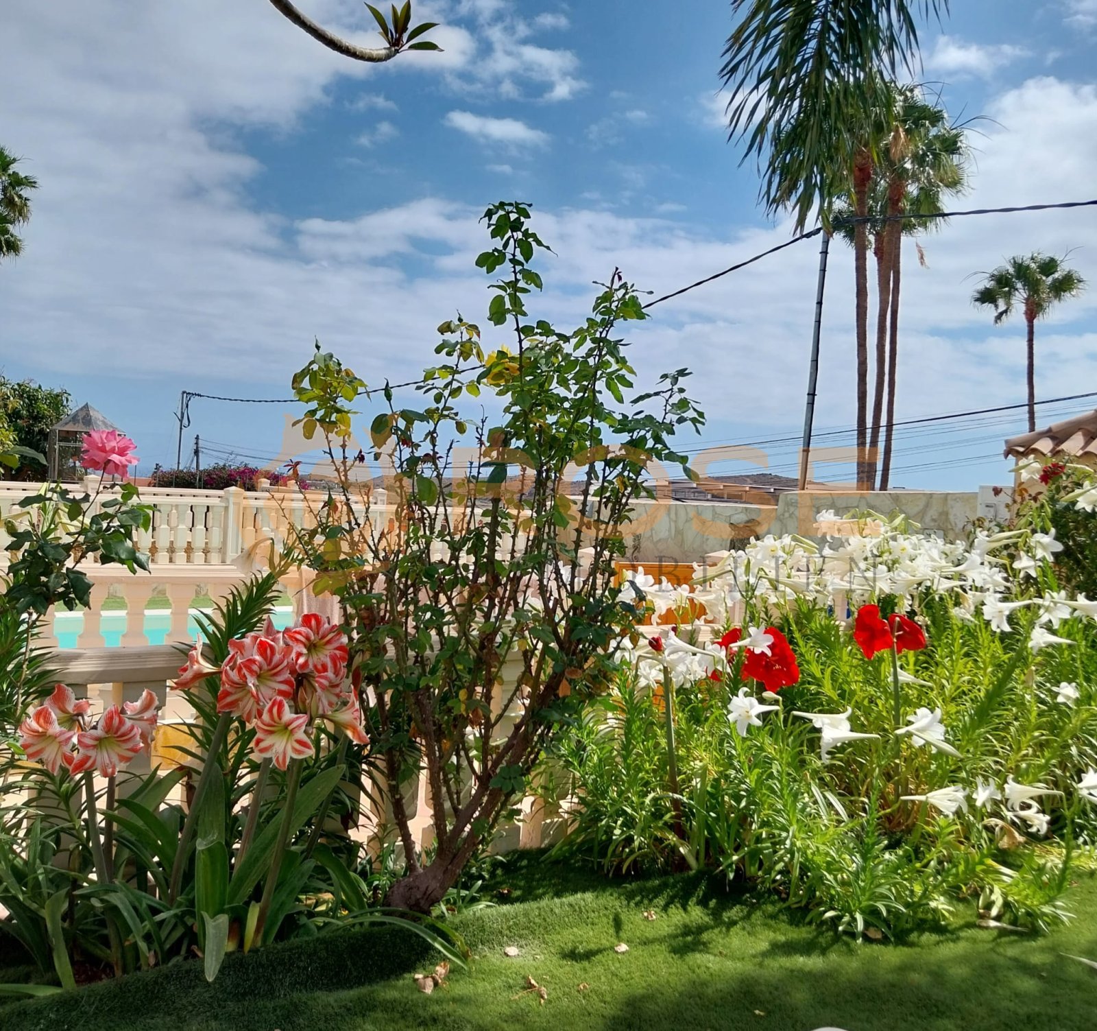 Área de piscina con jardín adyacente y áreas recreativas variadas