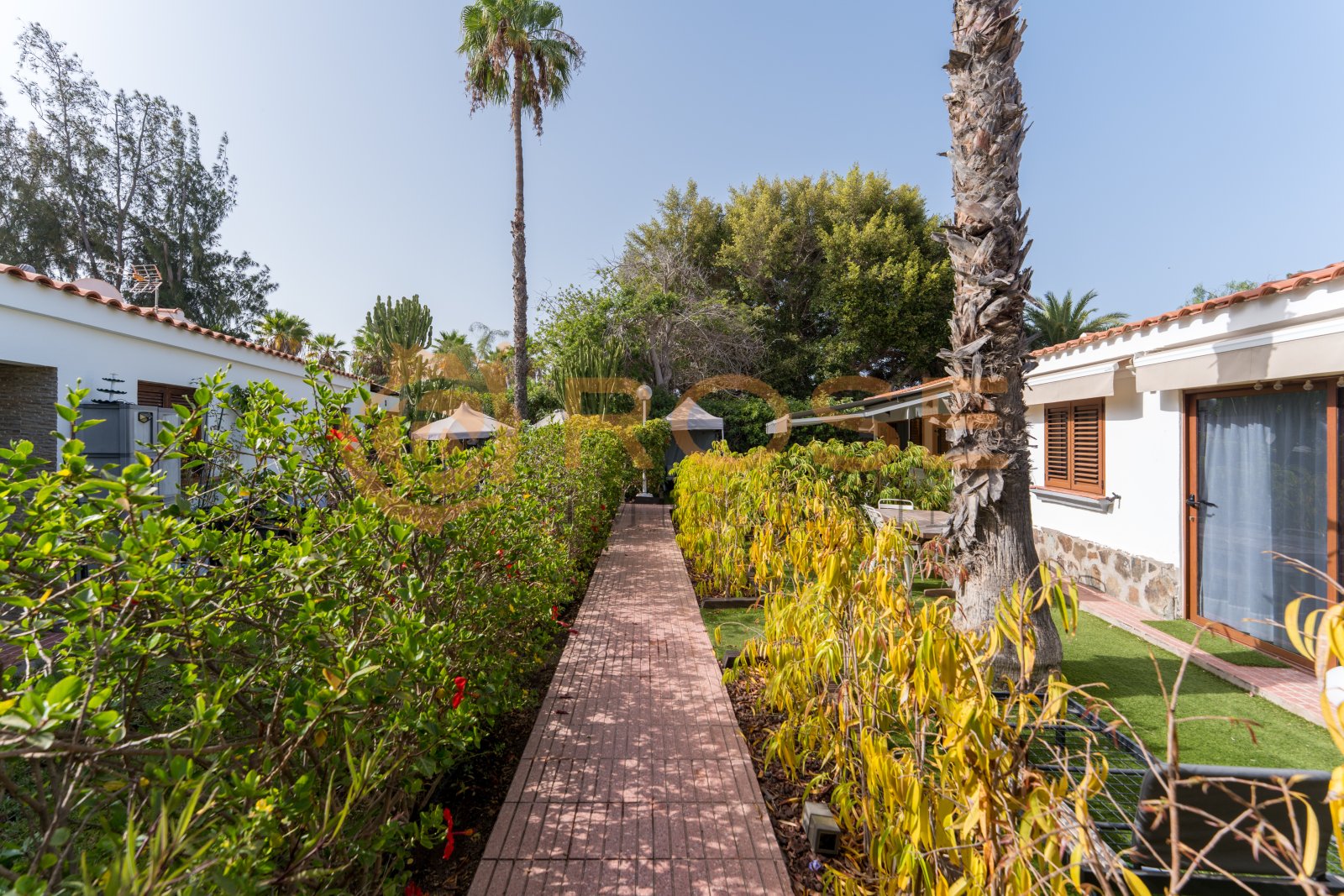 Camino cuidado con plantas estructuradas y acceso directo a las áreas residenciales Camino cuidado con plantas estructuradas y acceso directo a las áreas residenciales