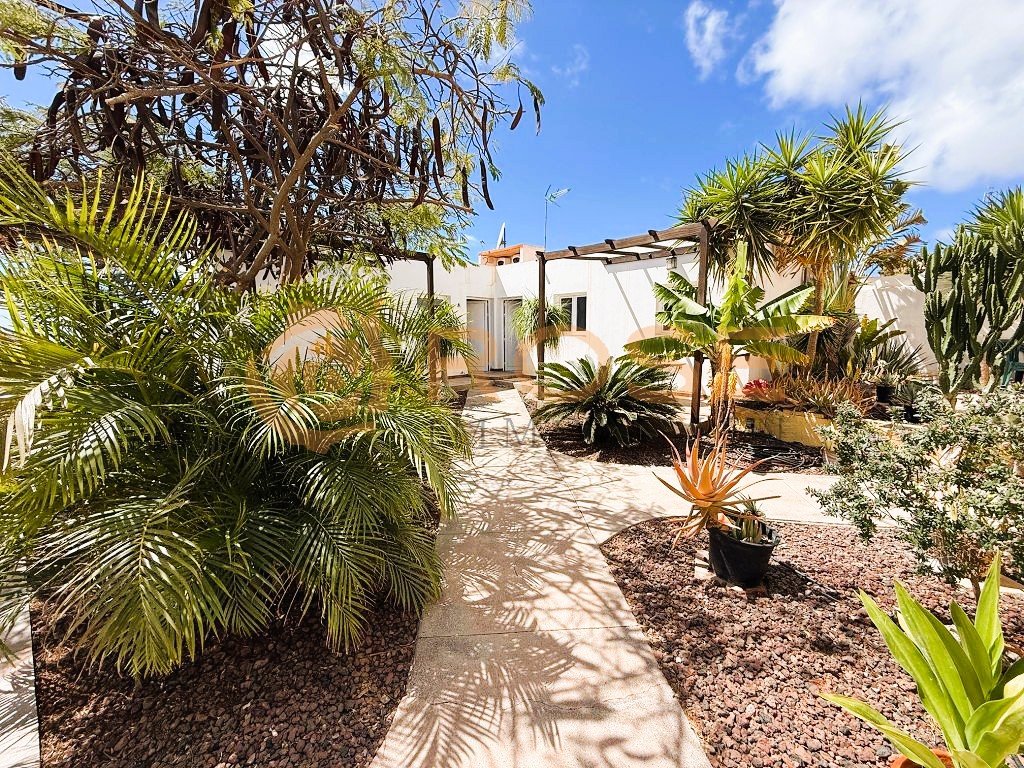 Zone d'accès tropicale avec arbres établis et pergolas ombragées