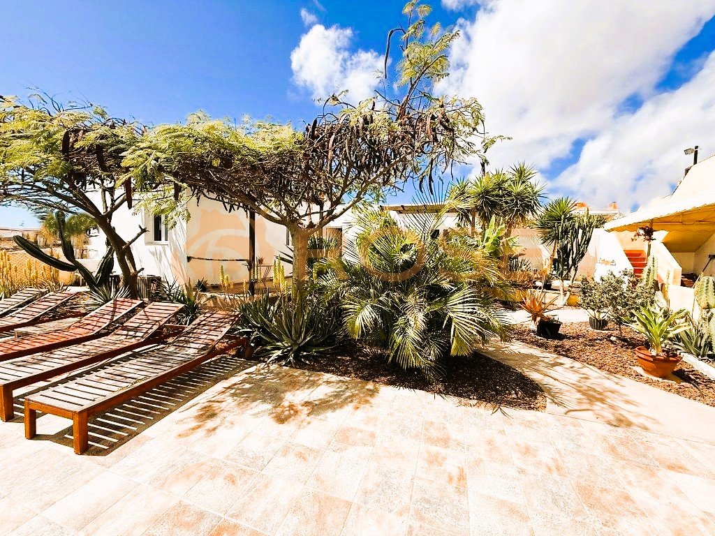 Aménagement extérieur méditerranéen avec une grande terrasse et des espaces ombragés