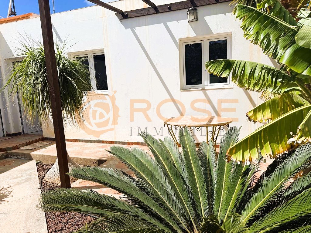 Espace extérieur ensoleillé avec une élégante pergola et un accès direct à la maison