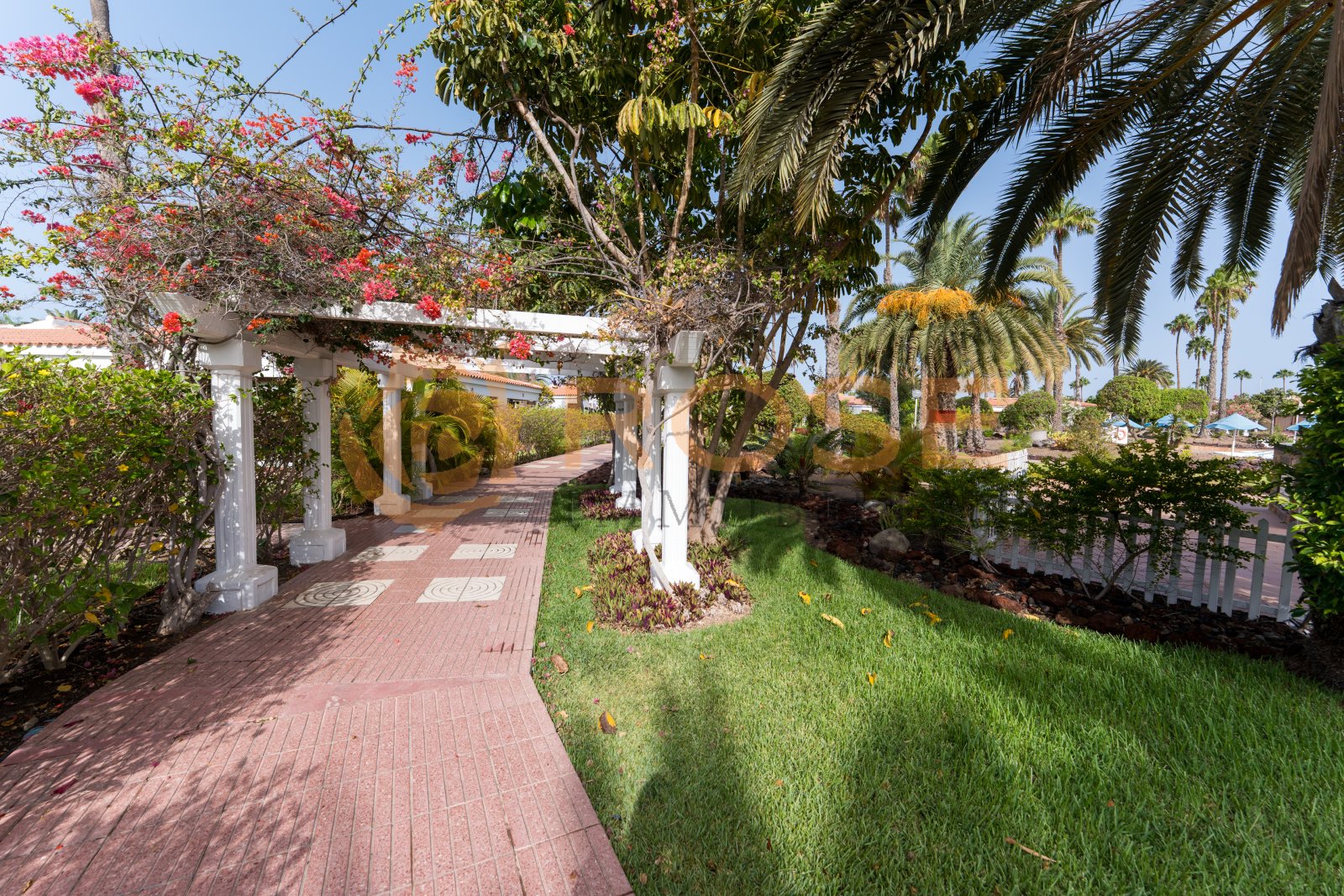 Pas de modifications dans le texte !Pergola élégante avec un concept de chemin structuré et un aménagement de jardin méditerranéen Pas de modifications dans le texte !Pergola élégante avec un concept de chemin structuré et un aménagement de jardin méditerranéen