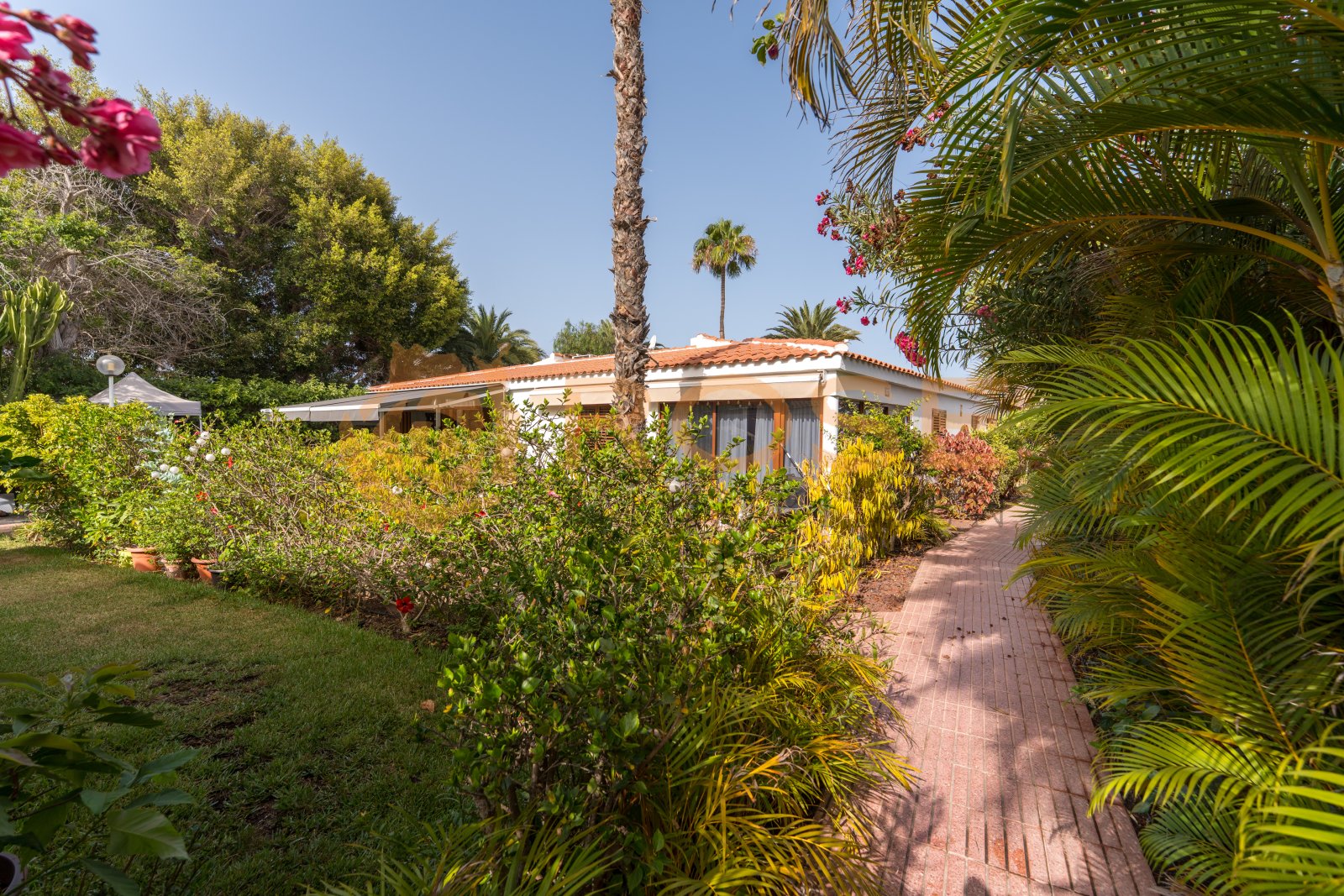 Aménagement de jardin méditerranéen avec chemin d'accès pavé et végétation abondante Aménagement de jardin méditerranéen avec chemin d'accès pavé et végétation abondante