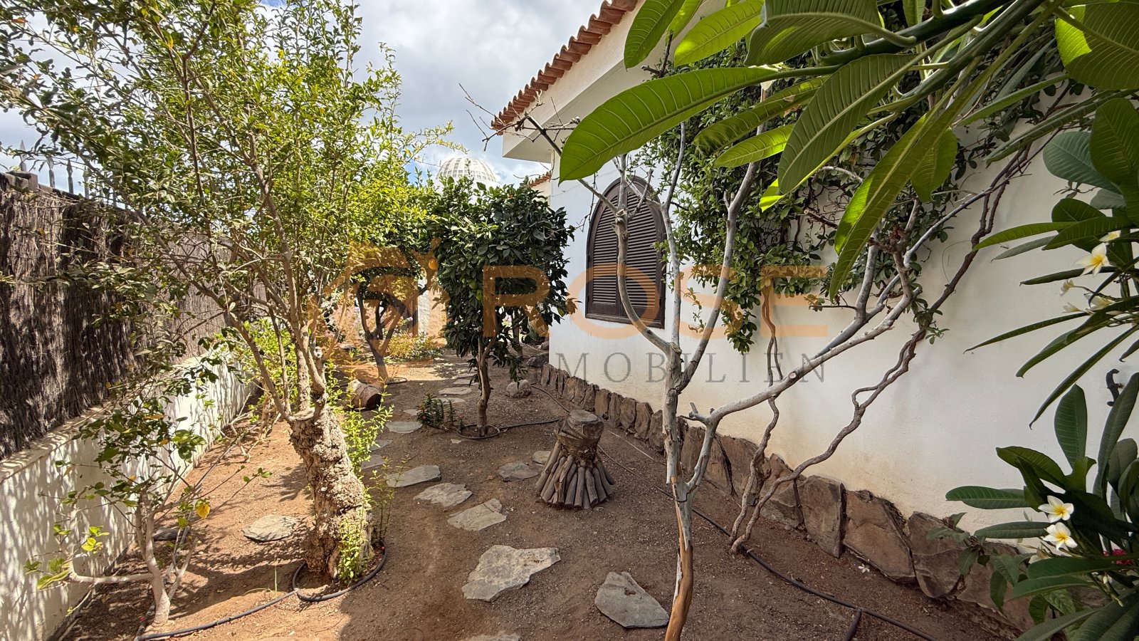 Cour intérieur authentique avec des arbres naturels et des structures de pergola rustiques